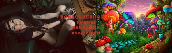 прущие крисы Алзамай