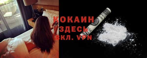 молекула духа Алексин