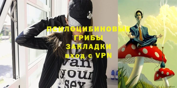 молекула духа Алексин
