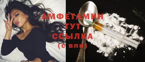 молекула духа Алексин